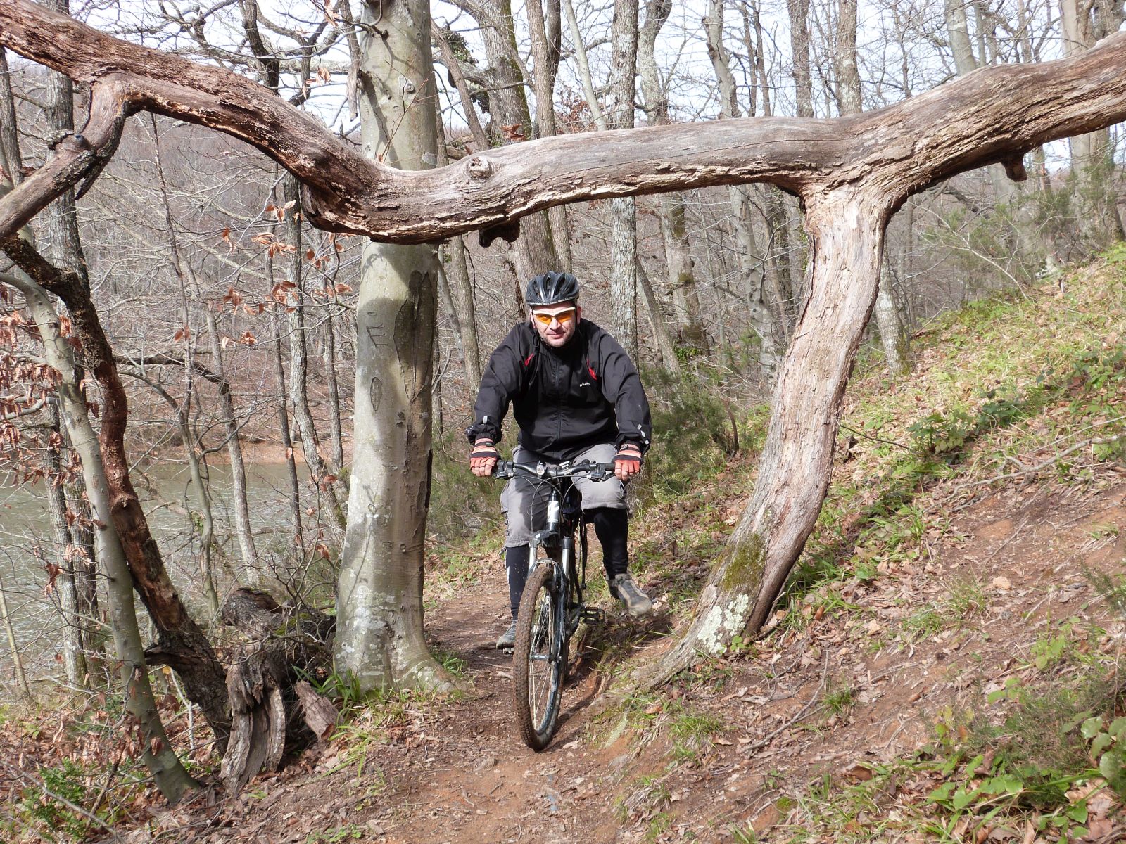 forest biking